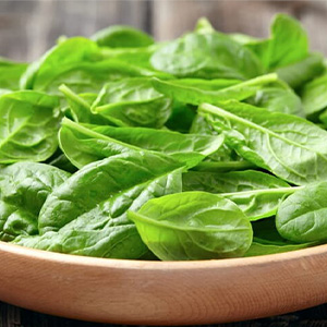 Шпинат оптом