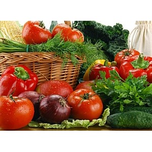 Овощи купить в Беларуси