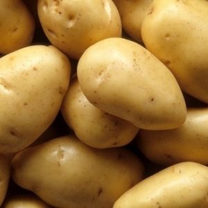 Продажа картофеля Беларусь