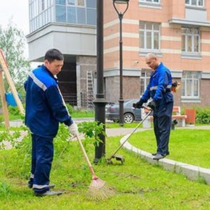 Уборка дворовой и прилегающей территории