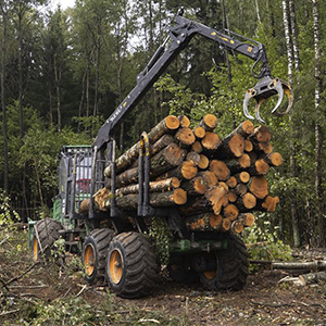 Продукция лесного хозяйства