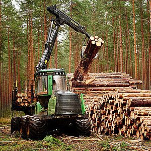 Организации лесного хозяйства