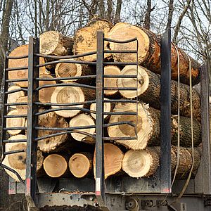 Торговля лесоматериалами