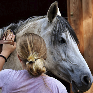 Ветеринарные препараты для лошадей