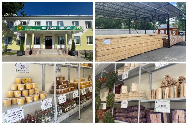 Витебский лесхоз