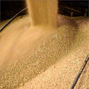 Шрот соевый кормовой тостированный