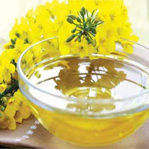 Масло из семян редьки масличной нерафинированное