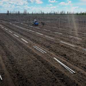 Подготовка территорий к закладке садов, ягодников, лесопосадки