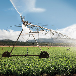 Мелиорация земель