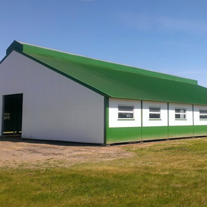 Строительство телятников, свинарников