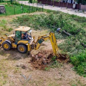 Раскорчевка территорий