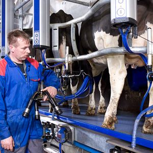 Техническое обслуживание оборудования животноводческих ферм