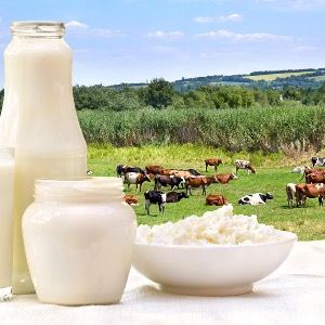 Предприятие по производству молока