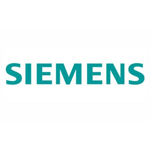 Форсунки Siemens
