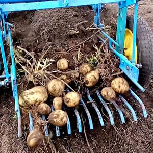 Копалки для картофеля и овощей