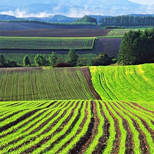 Оптимизация сельскохозяйственных земель