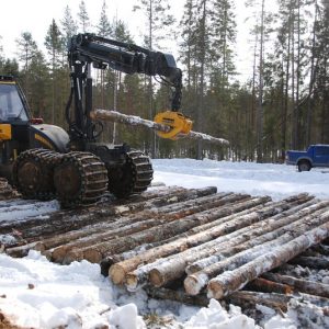Услуги, связанные с лесозаготовками