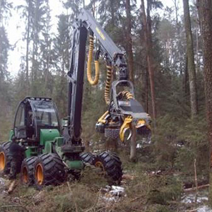 Заготовка древесины