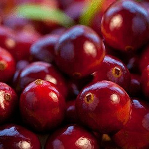 Продукция побочного лесопользования