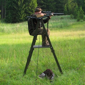 Организация охоты