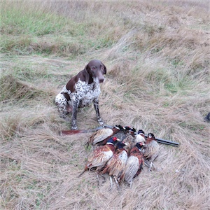 Услуги охотхозяйств