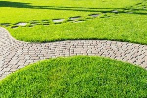 Благоустройство территории