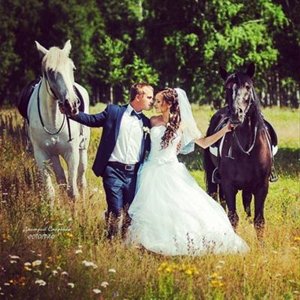 Аренда лошадей для свадебной фотосессии