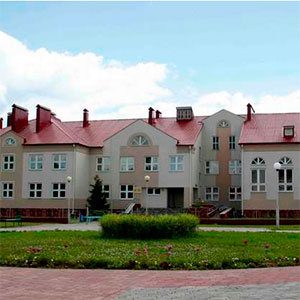 Средняя школа с детским садом д. Городец