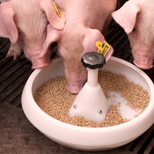 Комбикорм для свиней