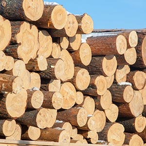 Балансовая древесина (для производства целлюлозы)