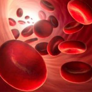 Эритроцитные компоненты крови
