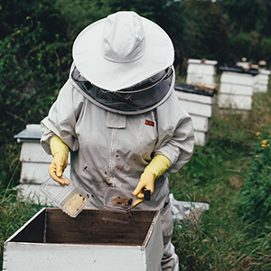 Химпрепараты для пчеловодства
