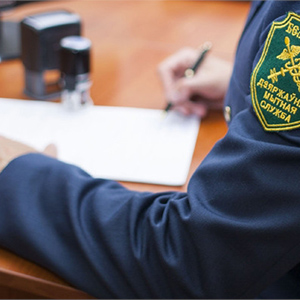 Статистическое декларирование