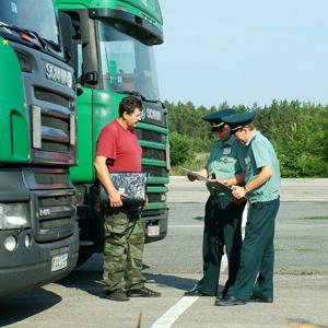 Транспортные таможенные услуги