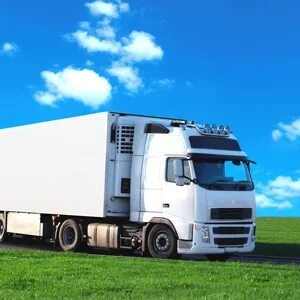 Транспортные услуги по перевозке грузов