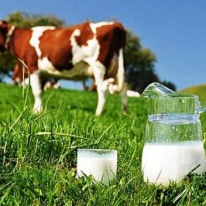 Производство молока