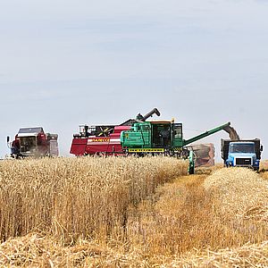 Ведение сельскохозяйственных работ