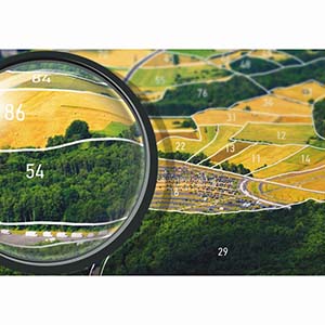 Ведение государственного лесного кадастра