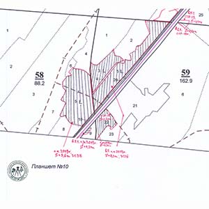 Учет текущих изменений в лесном фонде