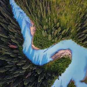 Cтатистические наблюдения