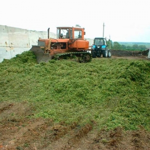 Ведение сельскохозяйственных работ