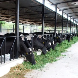 Сельхозфермы