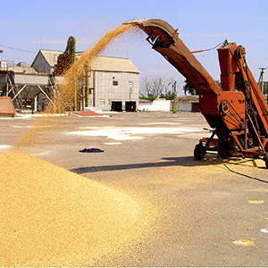 Обработка зерновых культур