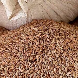 Зерно оптом