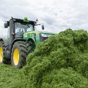 Заготовка кормов