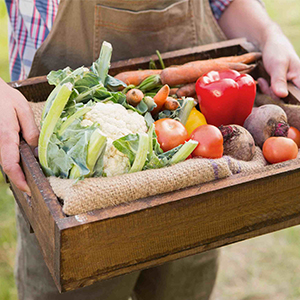 Продукция сельского хозяйства