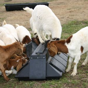 Комбикорма для коз