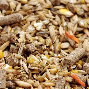 Комбикорм для животных