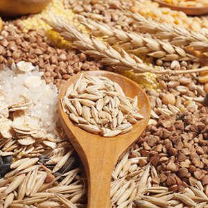 Сельхозпродукция оптом