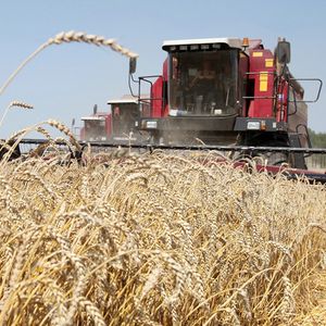 Заготовка сельскохозяйственной продукции и сырья